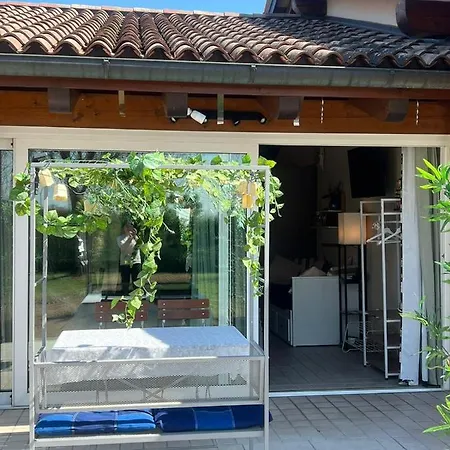 B&B Casa Belvedere Tezze sul Brenta Exterior photo